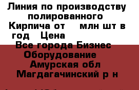 Линия по производству полированного  Кирпича от 70 млн.шт.в год › Цена ­ 182 500 000 - Все города Бизнес » Оборудование   . Амурская обл.,Магдагачинский р-н